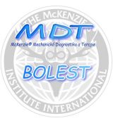McKenzie kurz BOLEST 28.-29.10 2027