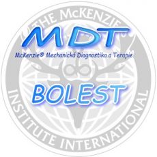 McKenzie kurz BOLEST 28.-29.10 2027